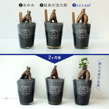 画像をギャラリービューアに読み込む, 【導入活力剤】cu:Leaf®(キュリーフ)