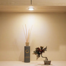 画像をギャラリービューアに読み込む, ドライ盆栽®カラフル ミニ