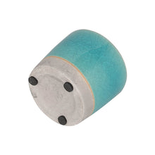 画像をギャラリービューアに読み込む, 【土を使わない観葉植物】カラー グレイズド ポット カバーセット (2号相当) ※テーブルプランツ(Table Plants)アレンジ