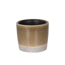 画像をギャラリービューアに読み込む, 【土を使わない観葉植物】カラー グレイズド ポット カバーセット (2号相当) ※テーブルプランツ(Table Plants)アレンジ