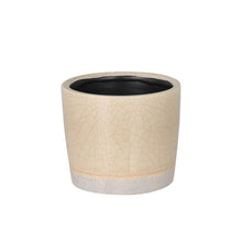 画像をギャラリービューアに読み込む, 【土を使わない観葉植物】カラー グレイズド ポット カバーセット (2号相当) ※テーブルプランツ(Table Plants)アレンジ