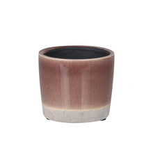 画像をギャラリービューアに読み込む, 【土を使わない観葉植物】カラー グレイズド ポット カバーセット (2号相当) ※テーブルプランツ(Table Plants)アレンジ