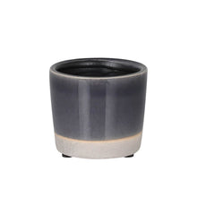 画像をギャラリービューアに読み込む, 【土を使わない観葉植物】カラー グレイズド ポット カバーセット (2号相当) ※テーブルプランツ(Table Plants)アレンジ