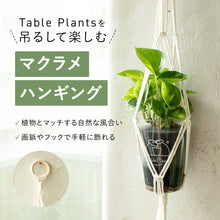 画像をギャラリービューアに読み込む, 【TablePlants専用】インテリアのアクセントに!ハンドメイド・ハンギング単品