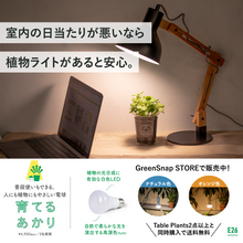 画像をギャラリービューアに読み込む, 【土を使わないハーブ】テーブルプランツ(Table Plants) アロマティカス