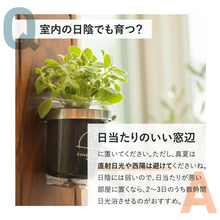 画像をギャラリービューアに読み込む, 【土を使わないハーブ】テーブルプランツ(Table Plants) アロマティカス