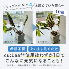 画像をギャラリービューアに読み込む, 【導入活力剤】cu:Leaf®(キュリーフ)