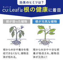 画像をギャラリービューアに読み込む, 【導入活力剤】cu:Leaf®(キュリーフ)