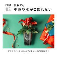 画像をギャラリービューアに読み込む, 【土を使わない観葉植物】Table Plants(テーブルプランツ) ポインセチア