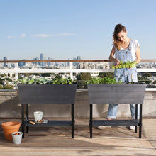 画像をギャラリービューアに読み込む, 【高床式菜園植木鉢・プランター】KETER Urban bloomr(アーバンブルーマー)