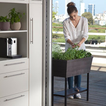 画像をギャラリービューアに読み込む, 【高床式菜園植木鉢・プランター】KETER Urban bloomr(アーバンブルーマー)