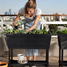 画像をギャラリービューアに読み込む, 【高床式菜園植木鉢・プランター】KETER Urban bloomr(アーバンブルーマー)
