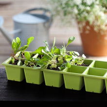 画像をギャラリービューアに読み込む, 【高床式菜園植木鉢・プランター】KETER Urban bloomr(アーバンブルーマー)