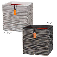 画像をギャラリービューアに読み込む, CAPI キューブポット リブ 30cm/40cm/50cm