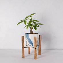 画像をギャラリービューアに読み込む, パキラ 5号 おしゃれなマーブル鉢カバー&ポットスタンドセット