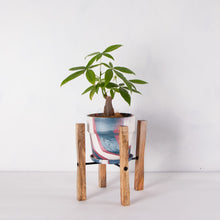 画像をギャラリービューアに読み込む, パキラ 5号 おしゃれなマーブル鉢カバー&ポットスタンドセット