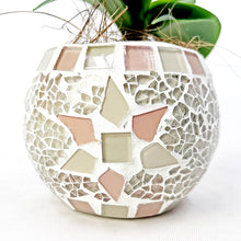 画像をギャラリービューアに読み込む, ミディ胡蝶蘭 (ピンク系) オリジナルガラス鉢セット【サワープティ】