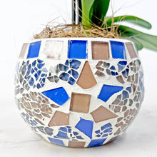 画像をギャラリービューアに読み込む, ミディ胡蝶蘭 (ピンク系) オリジナルガラス鉢セット【サワープティ】