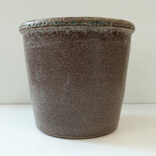 画像をギャラリービューアに読み込む, 【ボタニカルソイル観葉】テーブルプランツ(Table Plants) オリーブ(ミックス) ワイドDELUXⅡ