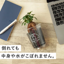 画像をギャラリービューアに読み込む, 【土を使わない観葉植物】テーブルプランツ(Table Plants)ガーデンベアカップ