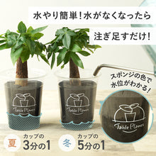 画像をギャラリービューアに読み込む, 【土を使わない観葉植物】テーブルプランツ(Table Plants)ガーデンベアカップ