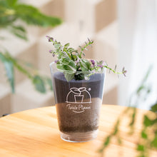 画像をギャラリービューアに読み込む, 【土を使わない観葉植物】つる性テーブルプランツ(Table Plants)トラディスカンチア