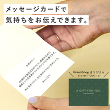 画像をギャラリービューアに読み込む, 【土を使わない観葉植物】テーブルプランツ ギフトセット(Table Plants)