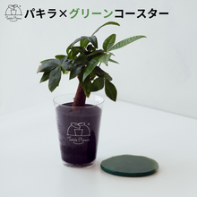 画像をギャラリービューアに読み込む, 【土を使わない観葉植物】 テーブルプランツ(Table Plants) ×カラフルCRYSTAL COASTERセット