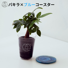 画像をギャラリービューアに読み込む, 【土を使わない観葉植物】 テーブルプランツ(Table Plants) ×カラフルCRYSTAL COASTERセット