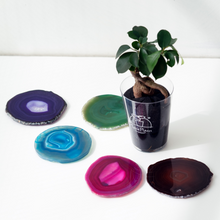 画像をギャラリービューアに読み込む, 【土を使わない観葉植物】 テーブルプランツ(Table Plants) ×カラフルCRYSTAL COASTERセット