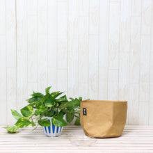 画像をギャラリービューアに読み込む, ポトス・斑入 5号 鉢カバー「Re:af®」セット