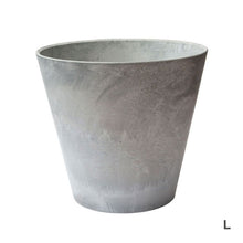 画像をギャラリービューアに読み込む, 香川で育ったオリーブの木 8号 鉢カバーセット