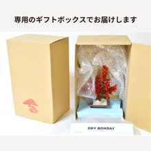 画像をギャラリービューアに読み込む, ドライ盆栽® 紅 鉢入り