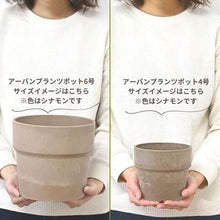 画像をギャラリービューアに読み込む, アジアンタム6号・モンステラ4号 室内におすすめ鉢カバー付2点セット