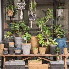 画像をギャラリービューアに読み込む, 【上質な質感でおしゃれな植木鉢】アートストーン φ115mm | ART STONE SSS