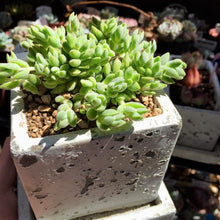 画像をギャラリービューアに読み込む, DULTON(ダルトン) ソリッド・プランター キューブ S SOLID PLANTER CUBE S ROUGH GRAY