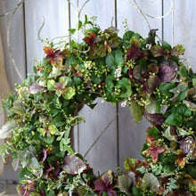 画像をギャラリービューアに読み込む, 【販売期間:9/10まで】ジュズサンゴ(数珠珊瑚/ルージュプランツ) 4種or2種セット