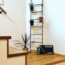 画像をギャラリービューアに読み込む, コルジリネ・レッドスター 6号