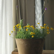 画像をギャラリービューアに読み込む, 【上質な質感でおしゃれな植木鉢】アートストーン φ320mm | ART STONE L