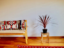 画像をギャラリービューアに読み込む, コルジリネ・レッドスター 6号