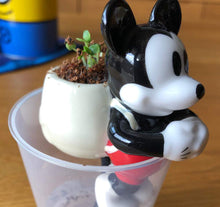 画像をギャラリービューアに読み込む, 栽培キット グローテール ミッキーマウス ミニーマウス