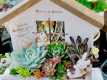 画像をギャラリービューアに読み込む, 多肉植物 1.5号 ケース売り 72個入り 【9品種保証】