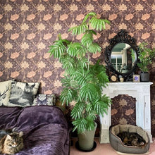 画像をギャラリービューアに読み込む, ネムノキ エバーフレッシュ 7号