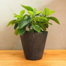 画像をギャラリービューアに読み込む, 【上質な質感でおしゃれな植木鉢】アートストーン φ215mm | ART STONE S