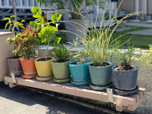 画像をギャラリービューアに読み込む, カラー グレイズド ポットM | COLOR GLAZED POT M(3号鉢:全10色)