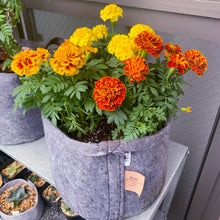 画像をギャラリービューアに読み込む, Root Pouch ルーツポーチ 持手あり 容量 8L (ブラック/ネイビー/ブラウン)