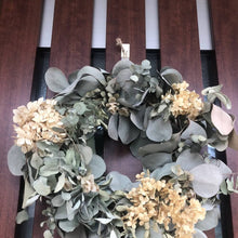 画像をギャラリービューアに読み込む, ユーカリ・グニー 樹形ストレート 6号 1鉢