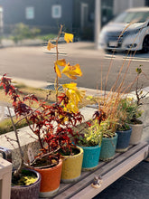 画像をギャラリービューアに読み込む, 【2個セット】カラー グレイズド ポットL | COLOR GLAZED POT L(4号鉢:全10色)