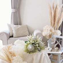 画像をギャラリービューアに読み込む, 【予約商品5/24発送分】パンパスグラス 花苗 1ポット