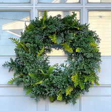 画像をギャラリービューアに読み込む, 【販売期間:11月30日まで】クプレッサス・アリゾニカ ブルーアイス(コニファー) 7号